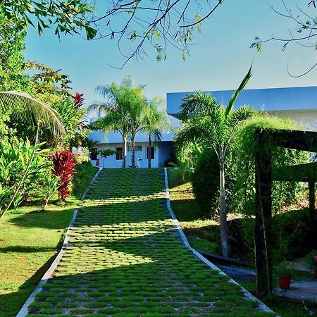 Sand Dollar Villa ボカ・チカ エクステリア 写真