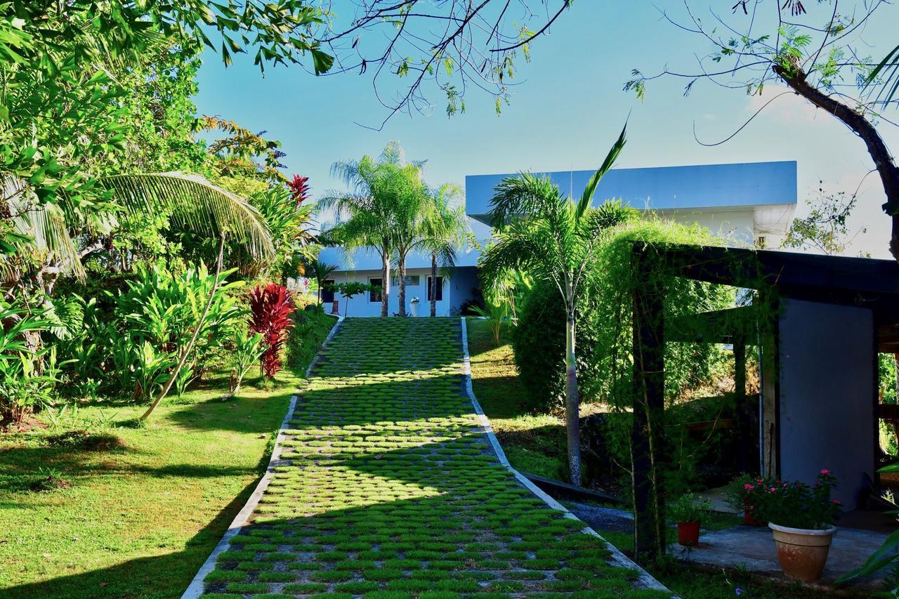 Sand Dollar Villa ボカ・チカ エクステリア 写真